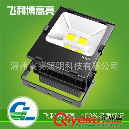 LED投光燈 GL-TG70W 室外投光燈 戶外廣告牌投光燈 景觀投光燈