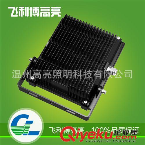 廠家{zx1}推薦 GL-TG20W LED投光燈 高性能戶外照明投光燈 熱銷原始圖片2