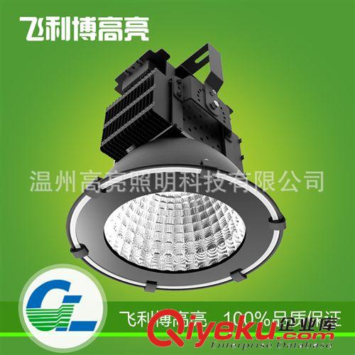 熱銷推薦 GL-H100W投光燈 大功率戶外LED投光燈 量大價(jià)優(yōu)