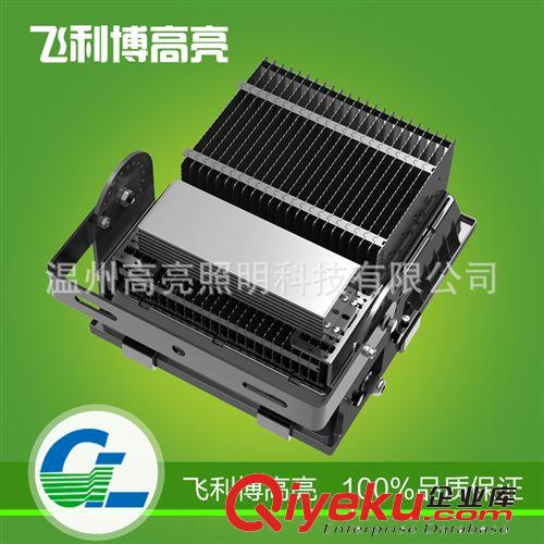 長期供應 GL-TG150W LED投光燈 戶外照明投光燈 廠價批發