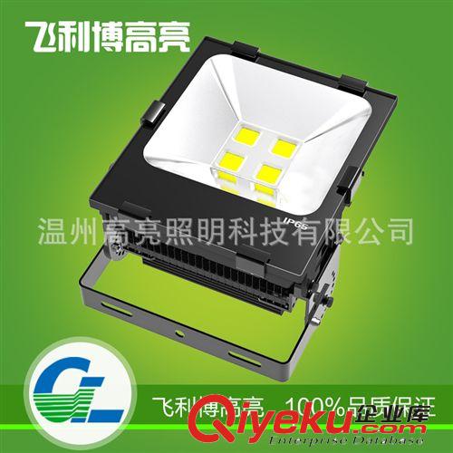 長期供應 GL-TG150W LED投光燈 戶外照明投光燈 廠價批發