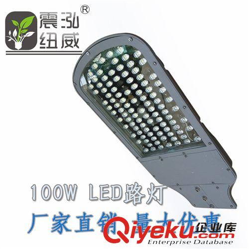 LED路燈  100W道路燈  LED路燈頭 節能路燈  廠家直銷 瓦數可定做