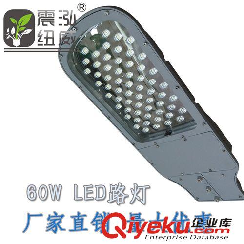 40W/60W  LED路燈/道路燈 廠家直銷  高品質(zhì)燈