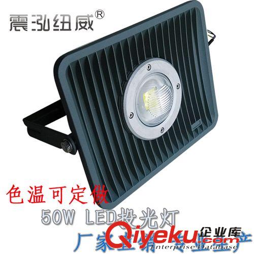 30W/50W/100W LED投光燈 防水防塵廣告招牌燈 戶外投射燈 節能