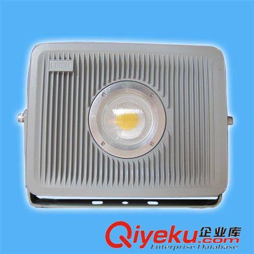 廠價(jià)批發(fā)LED戶外高炮廣告牌照明燈具  80-150W