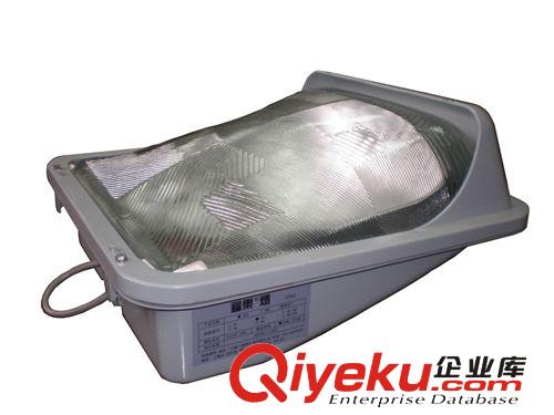 廣告牌照明燈具-遠(yuǎn)照燈1000w（棱玻）（福樂燈具/投光燈具）