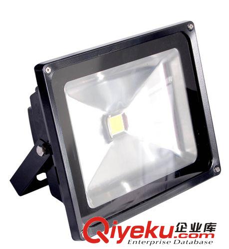 供应CREE LED泛光灯 80W 100W户外灯具厂家直销 防水等级IP65-66