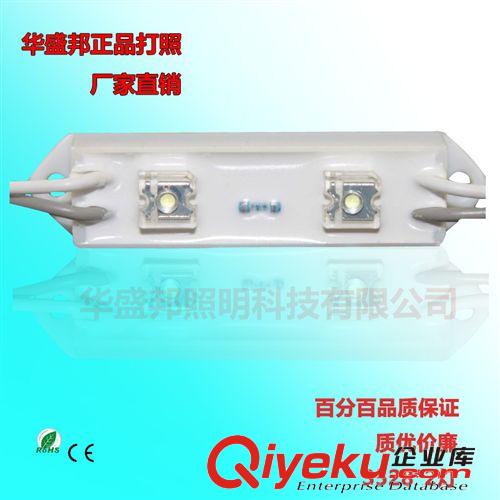 廠家防水食人魚模組 白光led發(fā)光模組 2燈模組led 廣告光源材料原始圖片2