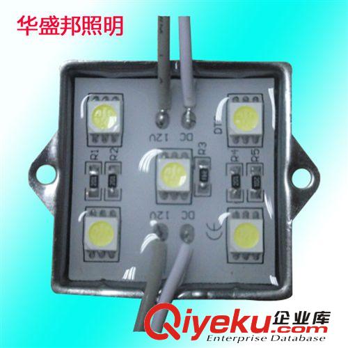 led5燈5050鐵殼防水模組廠家供應(yīng)LED5燈5050廣告發(fā)光模組藍景品質(zhì)