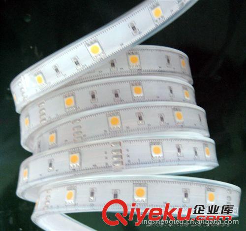 批發戶外防水IP68LED軟燈條 LED5050燈帶 60顆套管LED5050光條