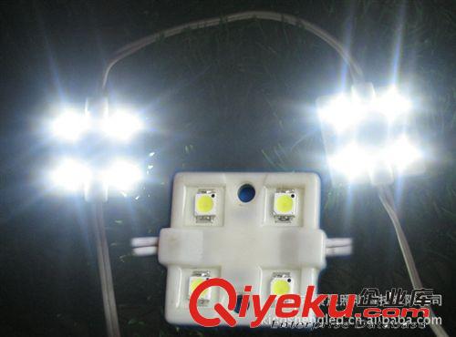 外貿(mào)專(zhuān)用LED5050模組 LED5050注塑模組 SMD3燈5050模組