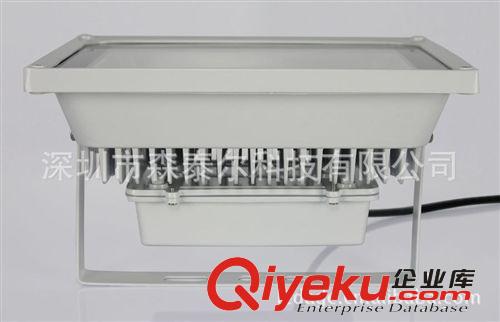 100WLED投光燈廠家直銷 100W集成 LED燈具 LED投光燈 100W