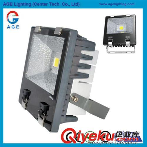 80W led投光燈 大功率 IP65高防水性能 廠家直銷