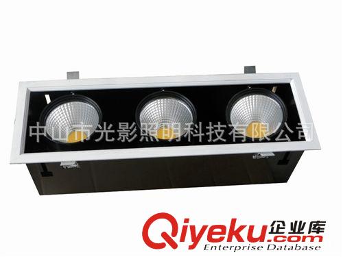 2x30w，2x60w，雙頭大功率COB格柵燈生產廠家 tj高功率60W筒燈原始圖片3