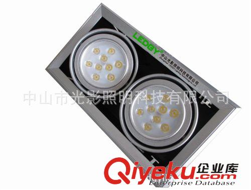 24W豆膽燈 斗膽射燈豆膽射燈 雙頭24W豆膽燈 24W格柵射燈