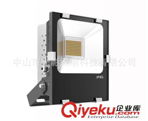 50w集成泛光燈 50w集成投光燈 泛光燈50w 中山泛光燈廠家