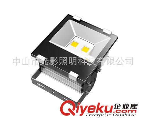 100w投光燈 泛光燈100w led集成投光燈 中山投光燈生產(chǎn)廠家