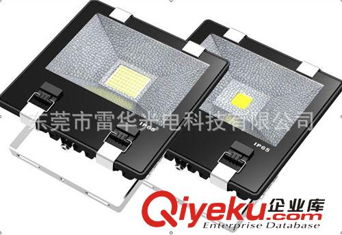 大功率LED泛光燈100W led投光燈 led廣告燈100w  投光燈100W原始圖片2