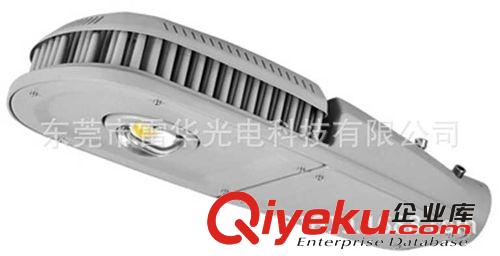 廠家直銷(xiāo)LED大功率路燈30W -- 200WLED路燈，庭院燈