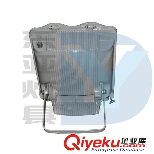 NSC9700大功率投射燈,400W防眩通路燈,NSC9700-250W原始圖片3
