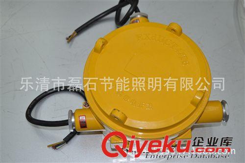 [廠家直銷]150W防爆平臺(tái)燈BPC8720防爆金鹵燈原始圖片2