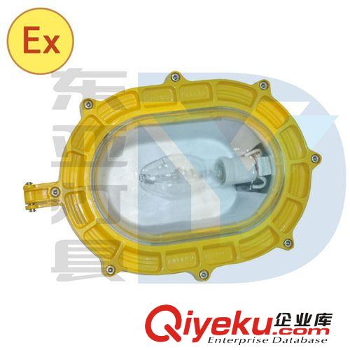 BTC6150防爆泛光燈