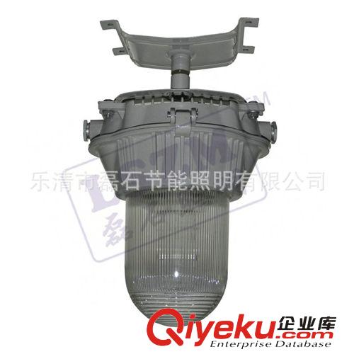 供應(yīng)DGS175/127B(C) 礦用防爆投光燈 金鹵燈報價 175W投光燈廠家
