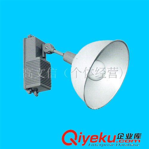 供應(yīng)優(yōu)質(zhì)無(wú)極燈 工廠、車間專用無(wú)極燈 超低價(jià)格原始圖片3