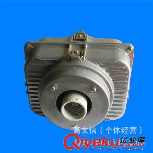 專業(yè)供應(yīng)  可配無極燈金鹵燈  高質(zhì)量雙層MDK電器箱原始圖片3