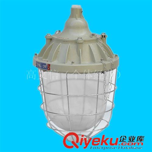 三防燈  防潮燈 FCD-DY節能燈 應用范圍廣泛 安全有保障