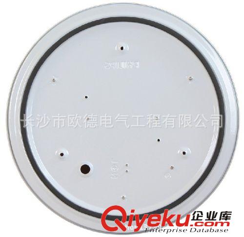 飛利浦燈具吸頂燈新亮彩簡約現代客廳臥室陽臺廚衛燈22W原始圖片3