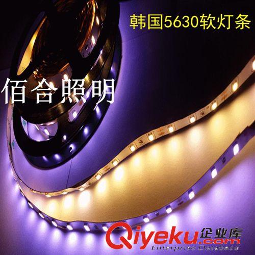 LED廠家 DC12V 3528燈帶RGB燈條 高品質(zhì)3528防水燈帶