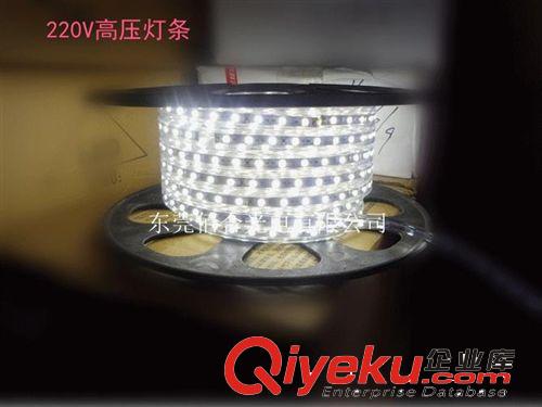 廠家直銷 220V 5050曖白高壓燈帶led 5050 60/珠裝飾軟燈條原始圖片2