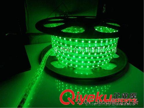廠家直銷 220V 5050曖白高壓燈帶led 5050 60/珠裝飾軟燈條原始圖片3