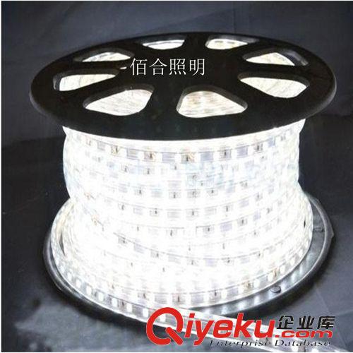 【廠家直銷】 220V 5050藍色燈帶 5050藍光 家用背景裝飾裝修原始圖片2