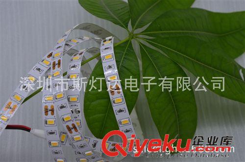 LED軟燈條 廠家直銷 5630貼片 正白 不防水 低壓 12V/24V