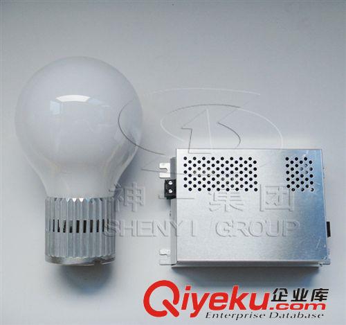 工礦燈具龜板罩 30-200W高頻無極燈 神一牌無極燈 專業(yè)生產無極燈原始圖片2