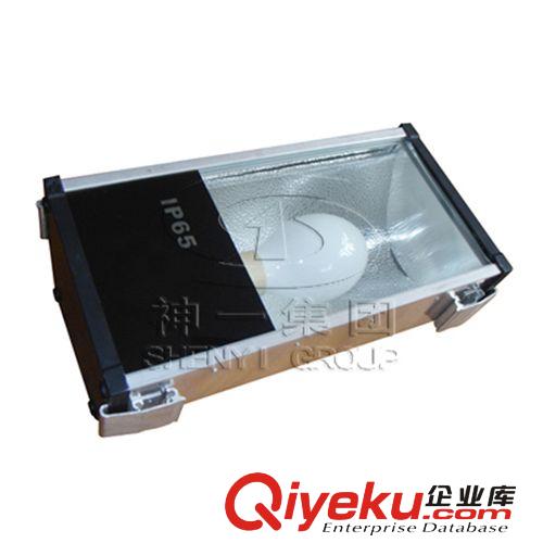 神一牌高頻無極燈 無極燈隧道燈 壓鑄鋁隧道燈 光效高維護(hù)低