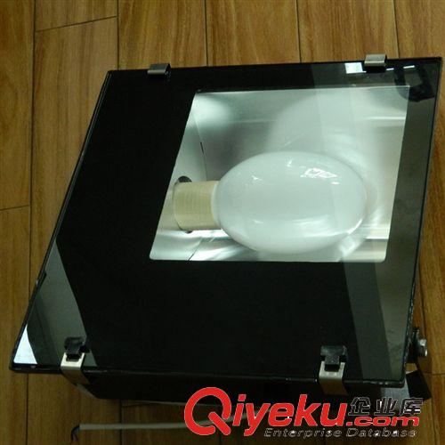 神一牌高頻無極燈橋梁專用燈具 大功率橋梁燈 節能免維護