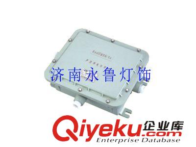 山東總經銷BAZ51系列防爆鎮流器（IIB、ezyjl