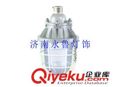 山東總經銷Bcd-250隔爆型防爆燈zyjl原始圖片2