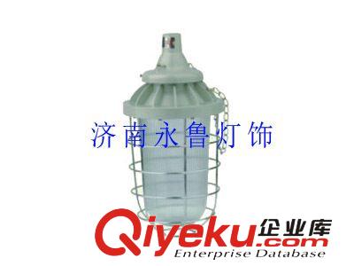 山東總經銷Bcd-250隔爆型防爆燈zyjl原始圖片3