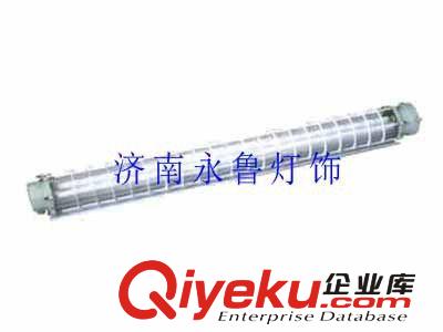山東總經銷Bcd-250隔爆型防爆燈zyjl