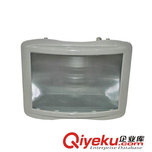 【廠家直銷】NSC9100防眩通路燈