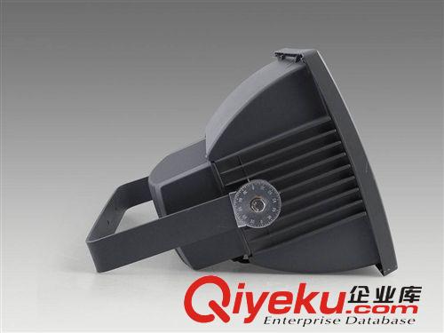 馳揚供應FAT-W防水防塵防腐泛光無極燈 FAT-W50價格 FAT-W80原始圖片2