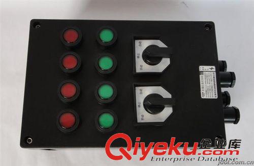 BXK8050 防爆防腐控制箱(IIC，DIP)原始圖片2