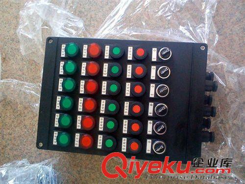 BXK8050 防爆防腐控制箱(IIC，DIP)原始圖片3