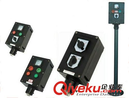 FZC-S-D2K1G FZC-S-D2K1L防水防塵防腐立式全塑操作柱原始圖片2