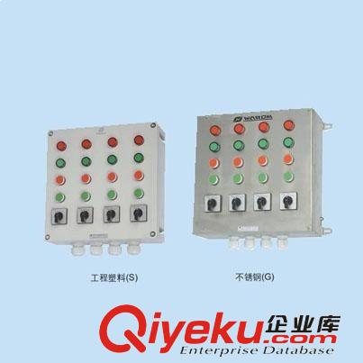 BXM(D)8061防爆防腐照明（動力）配電箱（ⅡC、DIP）不銹鋼