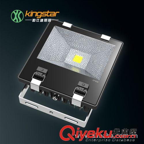 LED泛光燈 100W泛光燈 LED投光燈 LED投射燈 戶外燈具 生產(chǎn)廠家